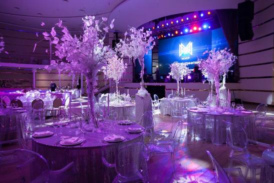 Screens for a banquet hall (stage, reception, karaoke stage) image 3