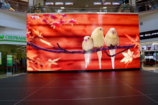 Stage in the shopping center "Red Square" image 5